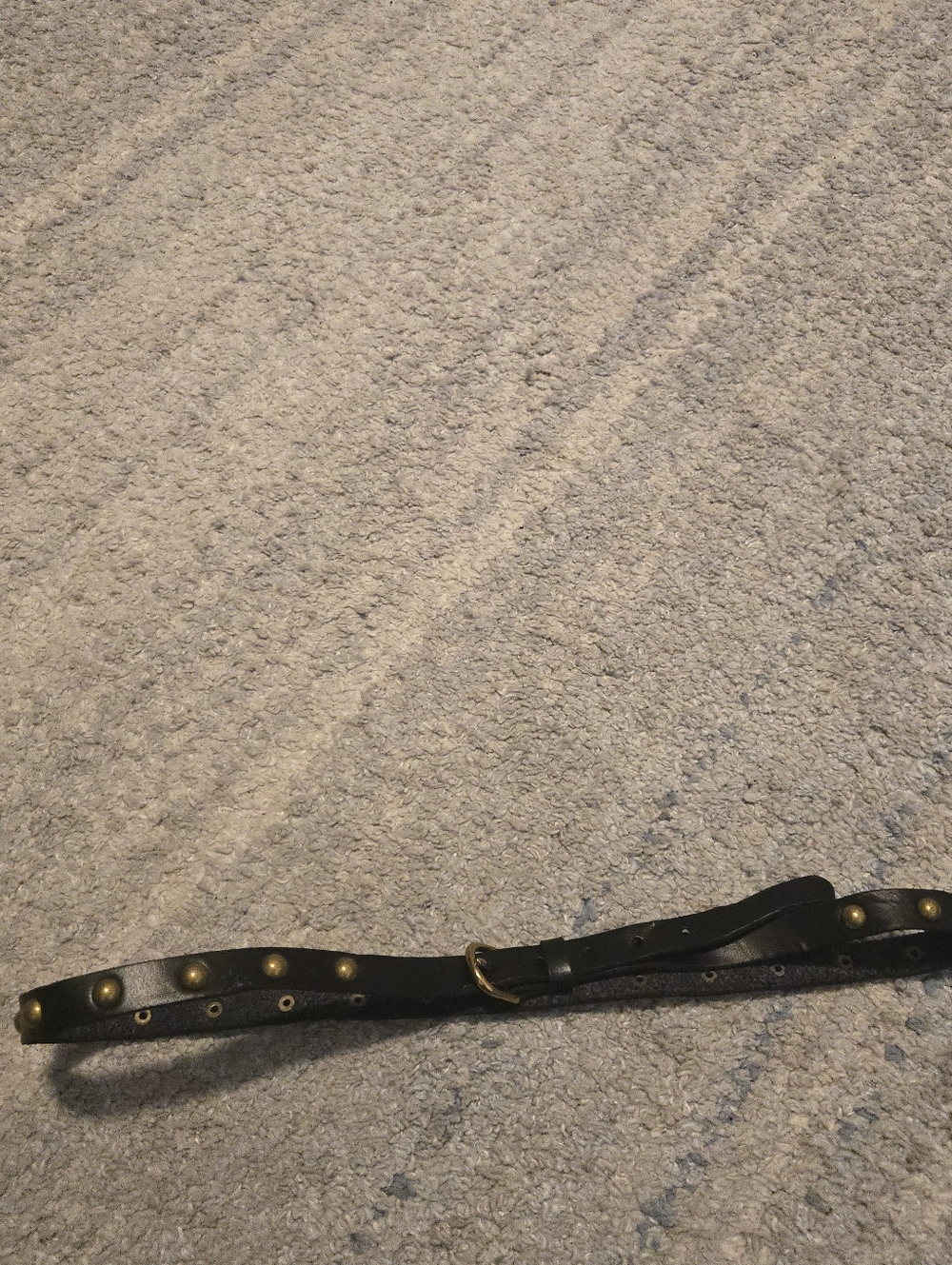 ​J. Jill Black Genuine Leather Studded Belt M/L Brass Gold Domed Studs Skinny